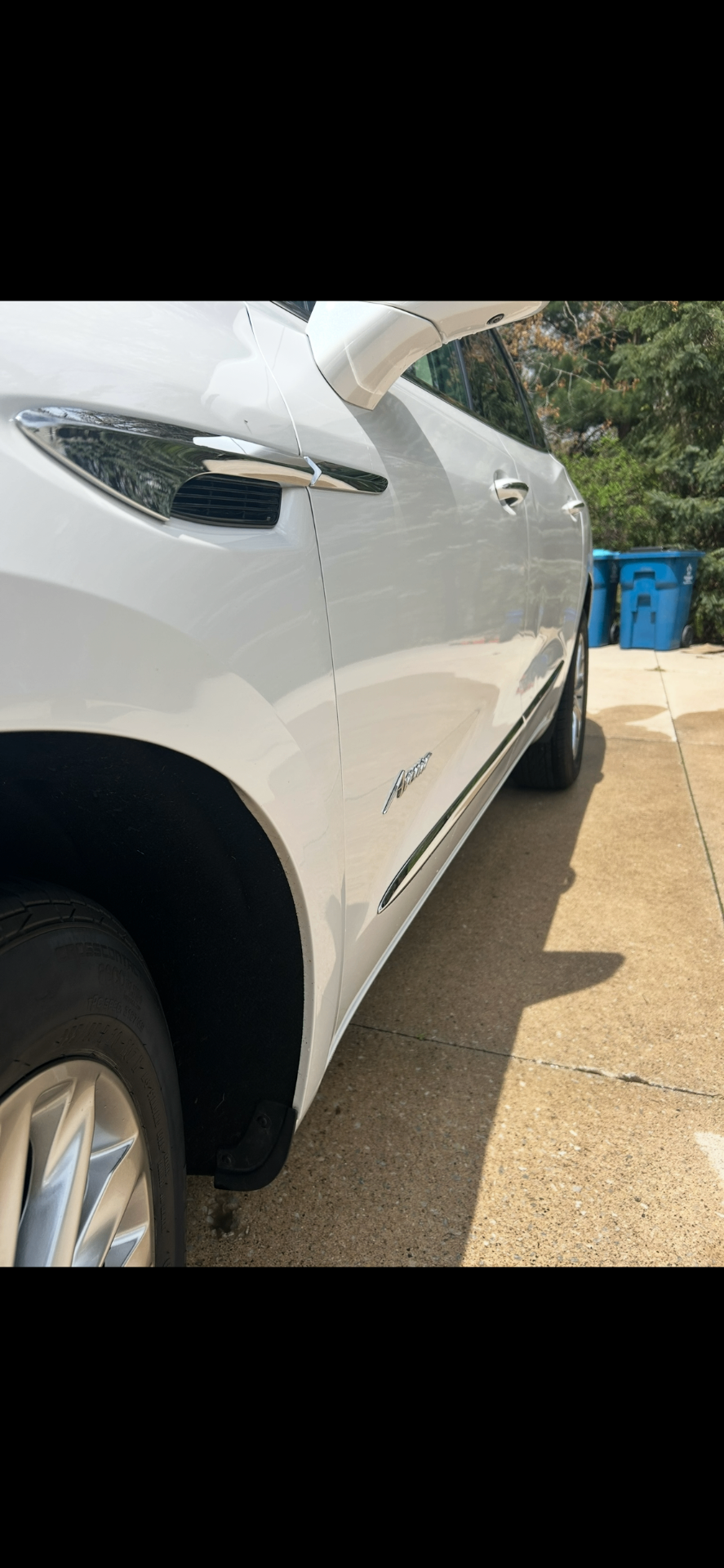 Buick Enclave Avenir — Clay N' Seal after detailing